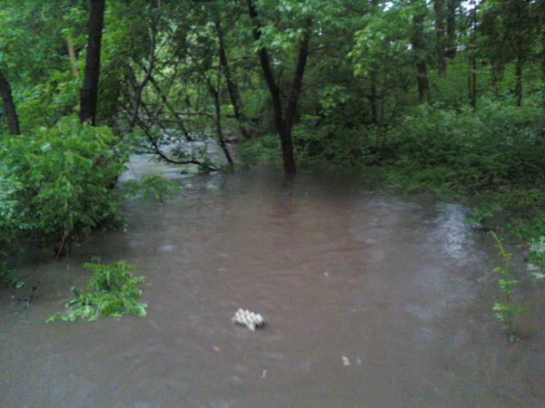 Flood