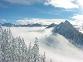 Fog, Peak Stevens Pass Back Bowl