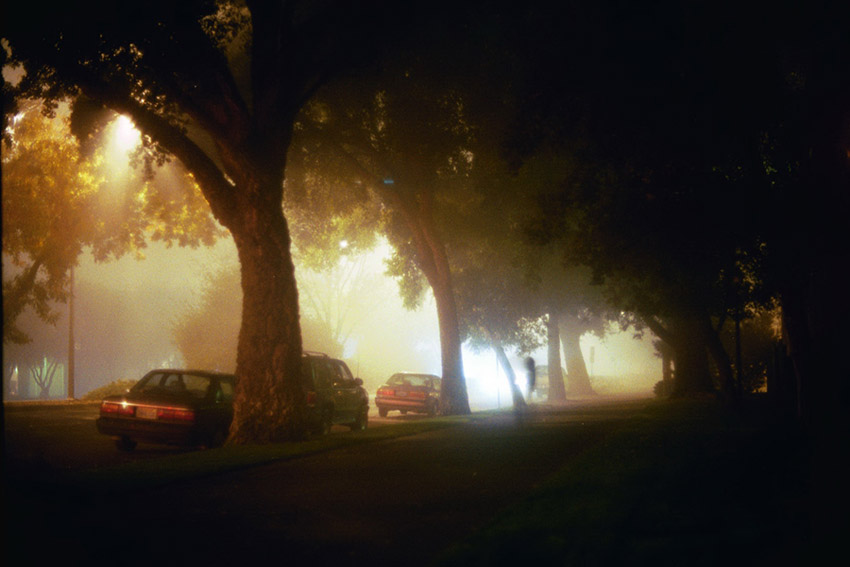 foggy path, different angle
