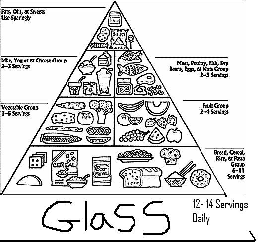 Food Pyramid