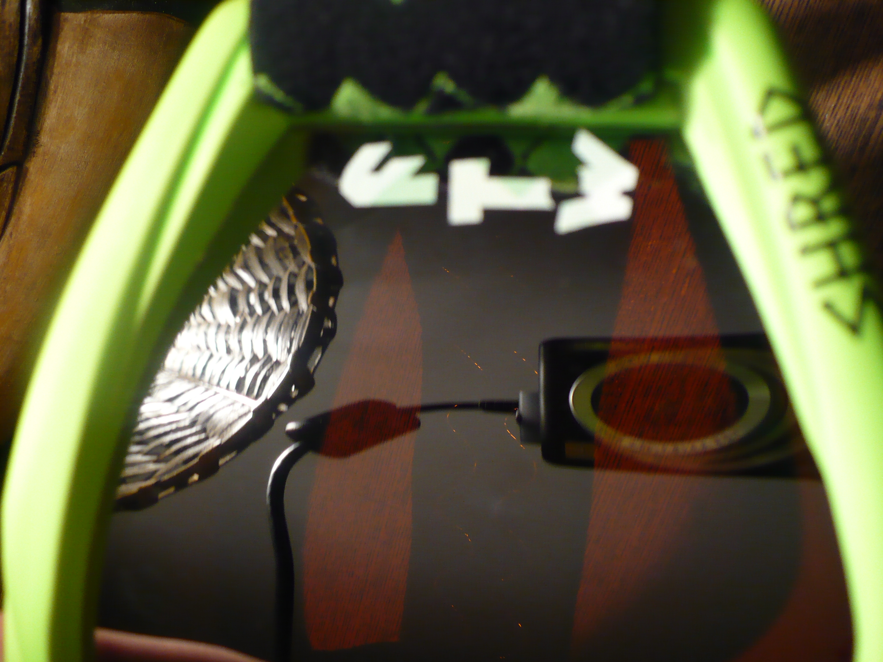 Free The Whales in lense