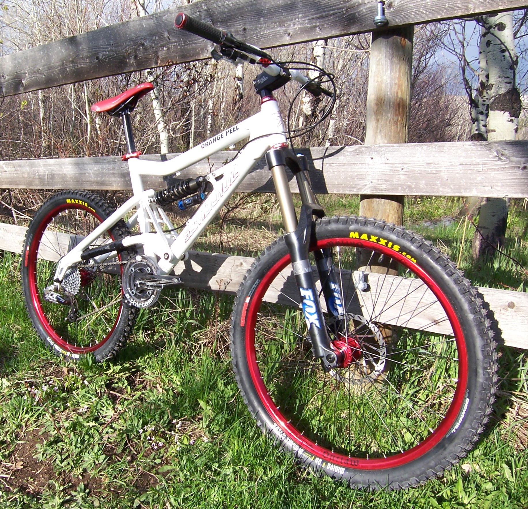 Fresh santa cruz bullit