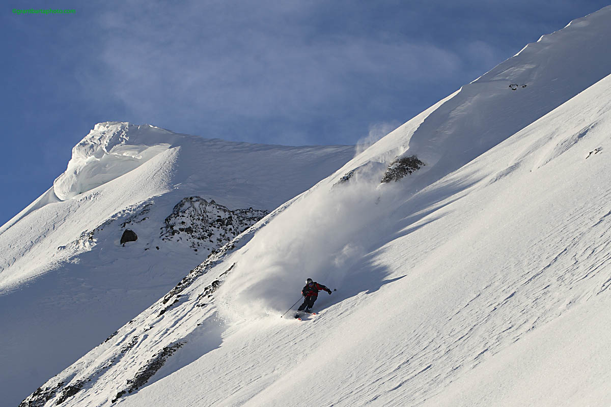 Fresh Tracks All Day