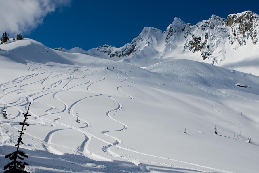 Fresh tracks