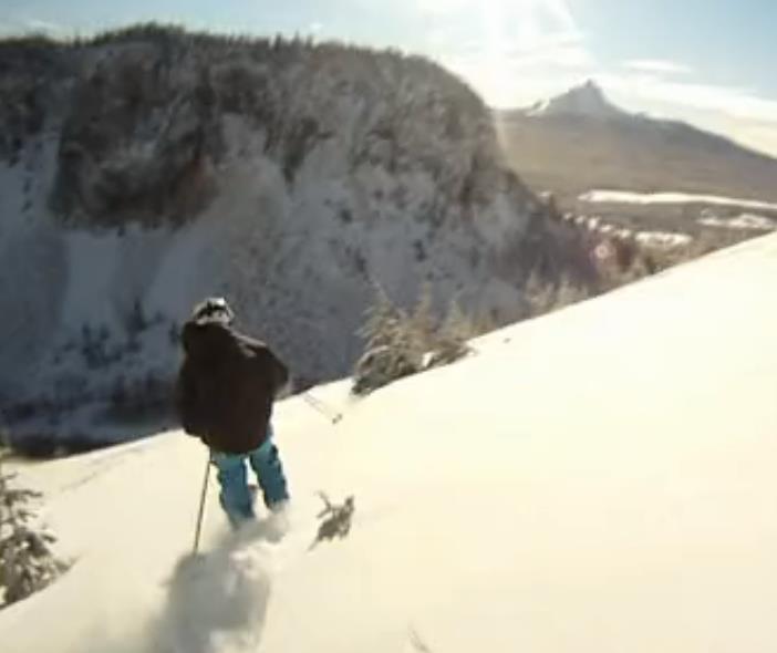 freshies at bachelor