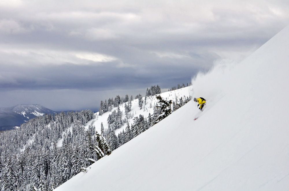 Freshies at Meadows