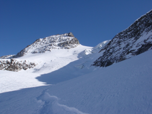 Freshies down the glacier