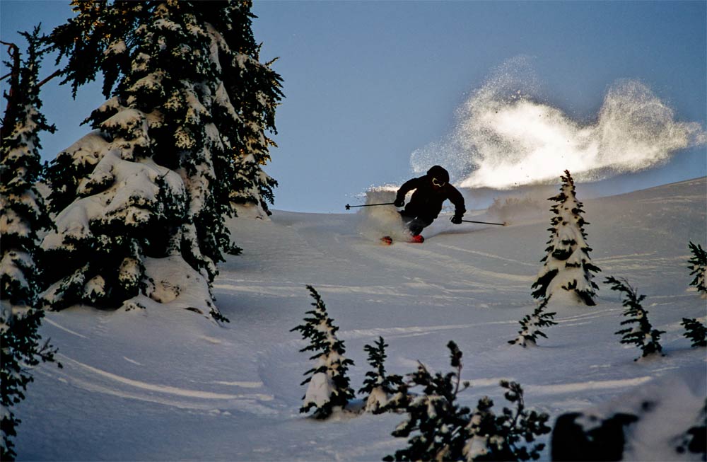 freshies on the tail