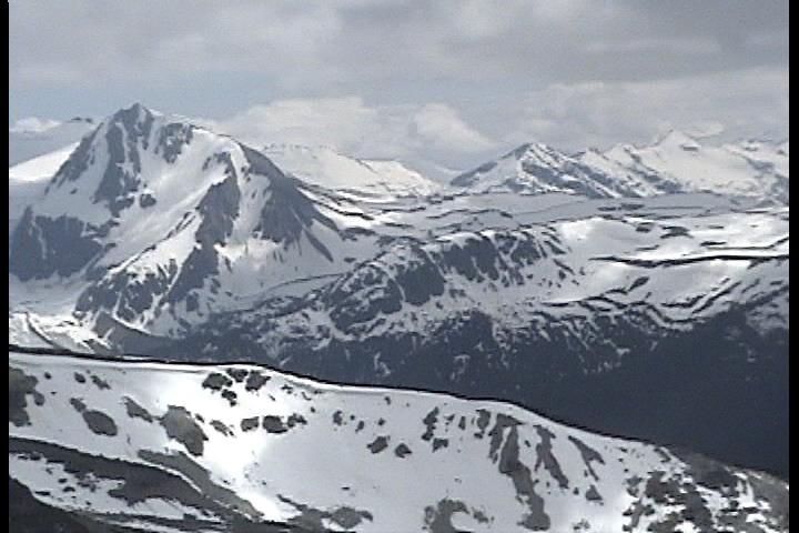 from momentum sesh two