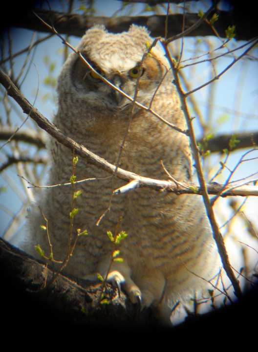 From today in the field.