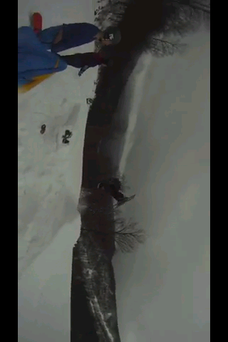 Front flip