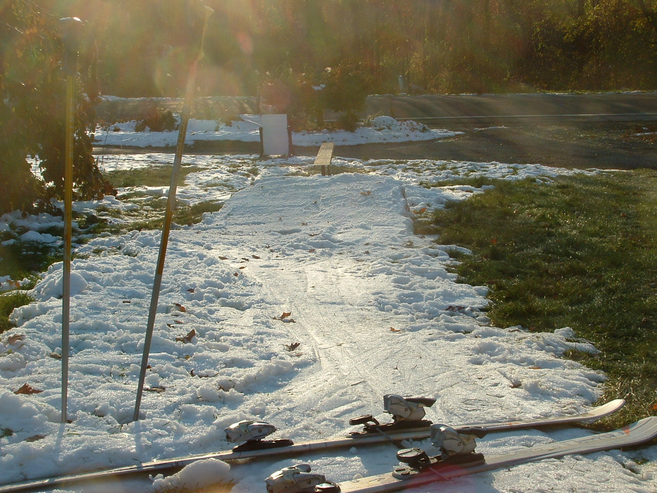 Front yard in november