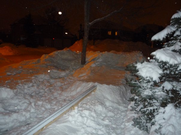 Front yard rail