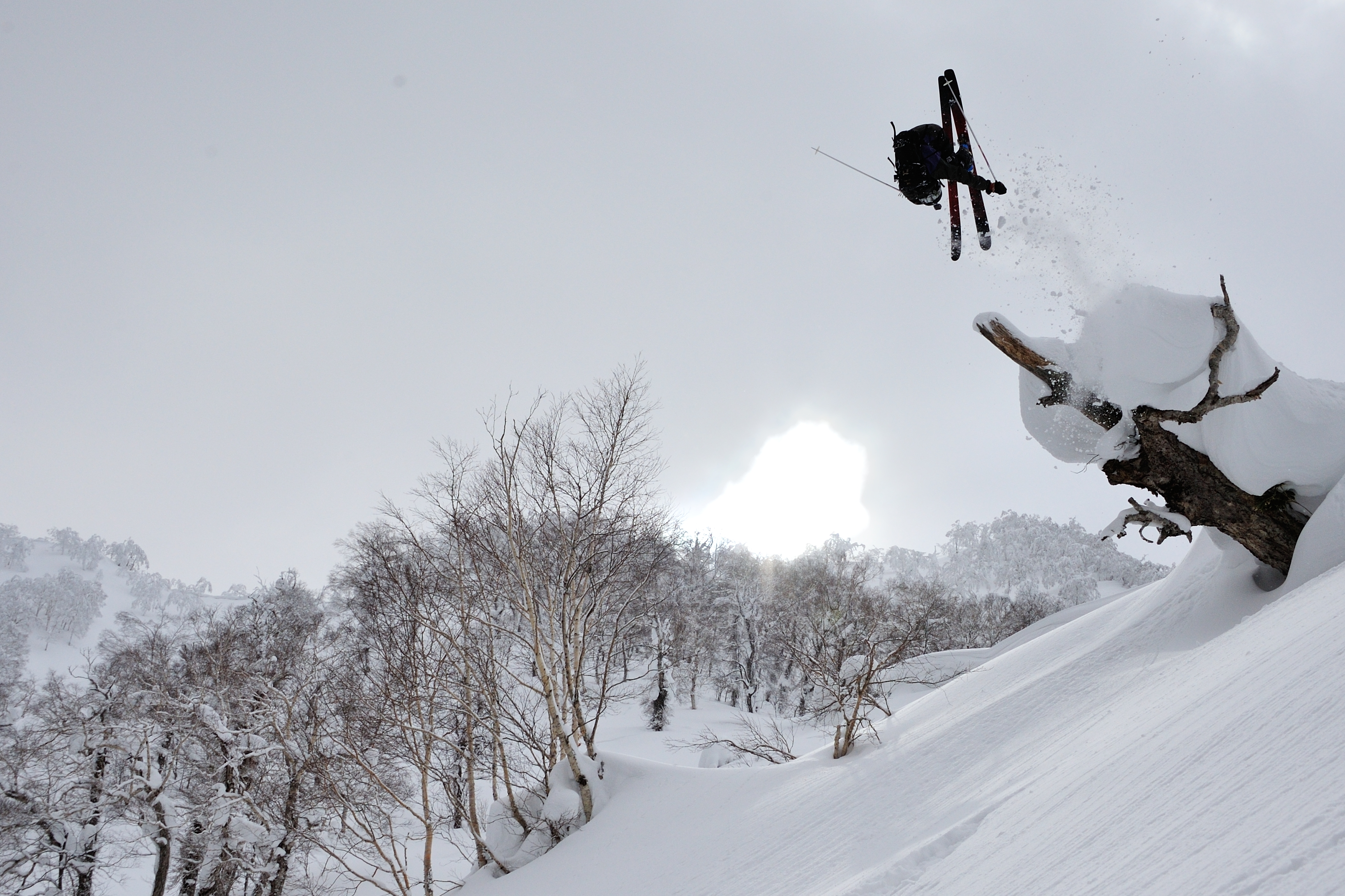 Frontflip from Gorgeous tree