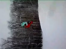 Frontflip