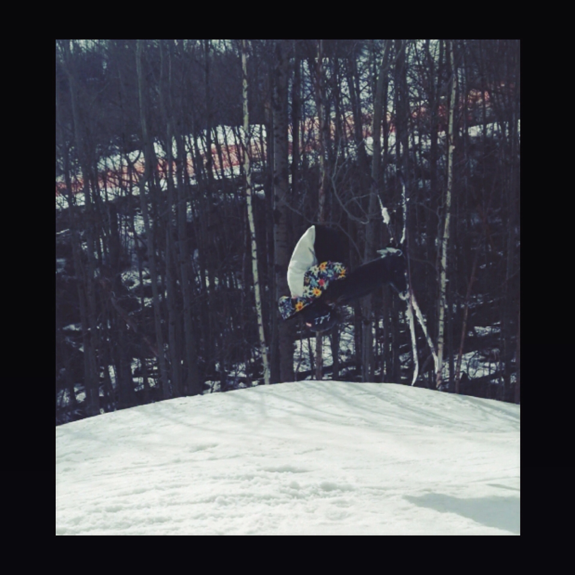 frontflip