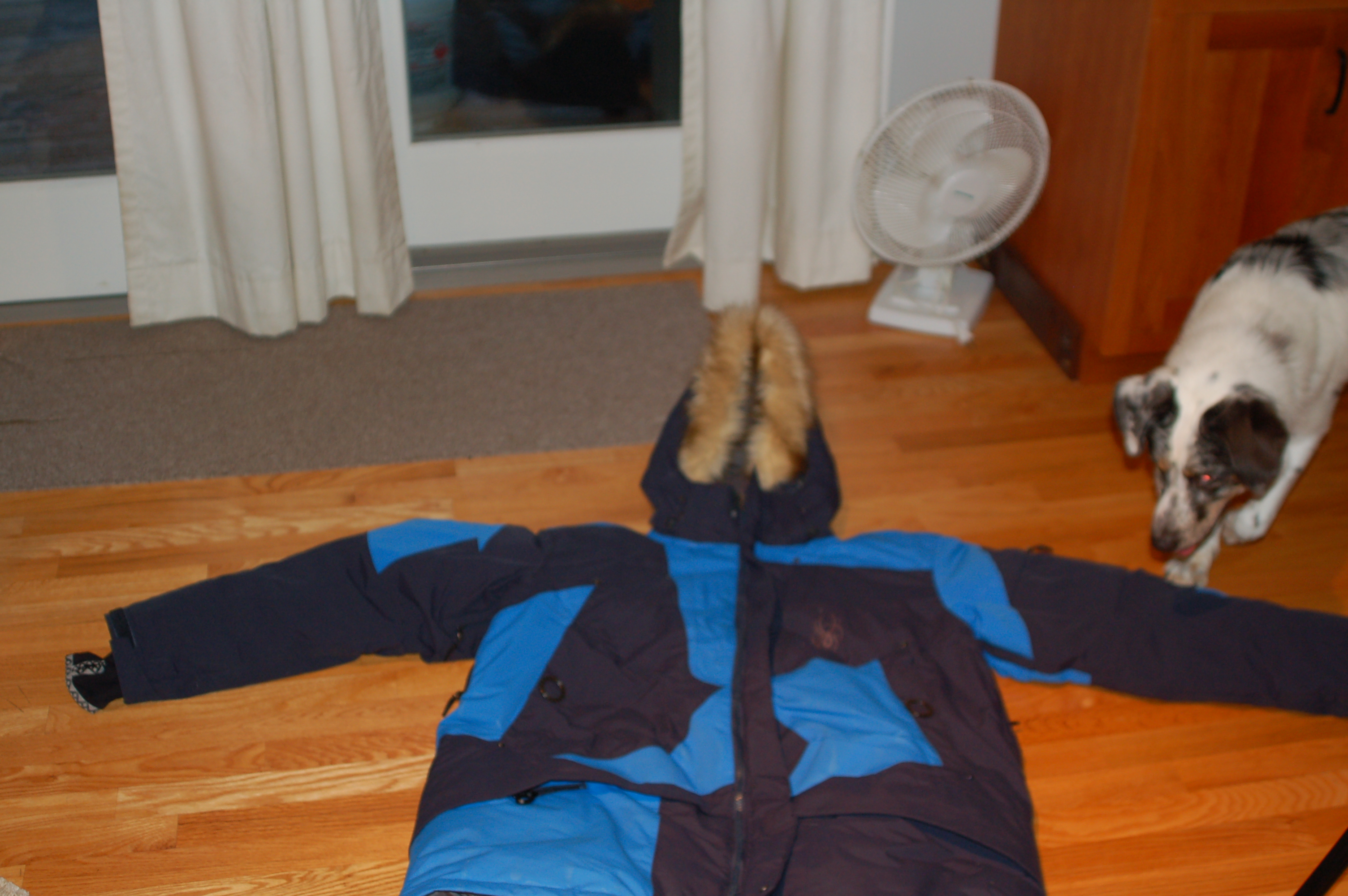 FS; Bibby Jacket 3