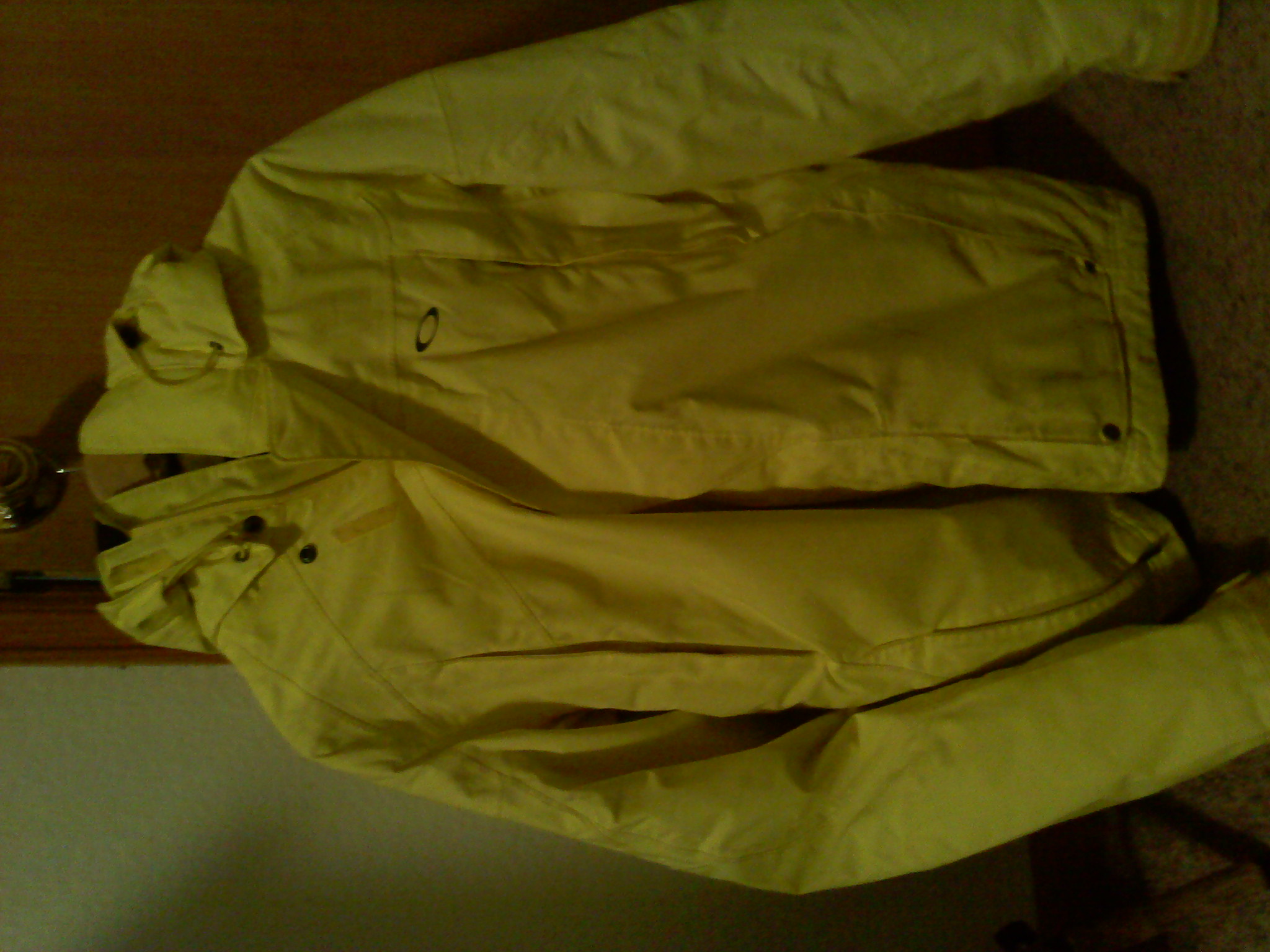 FS: Oackley Icon large