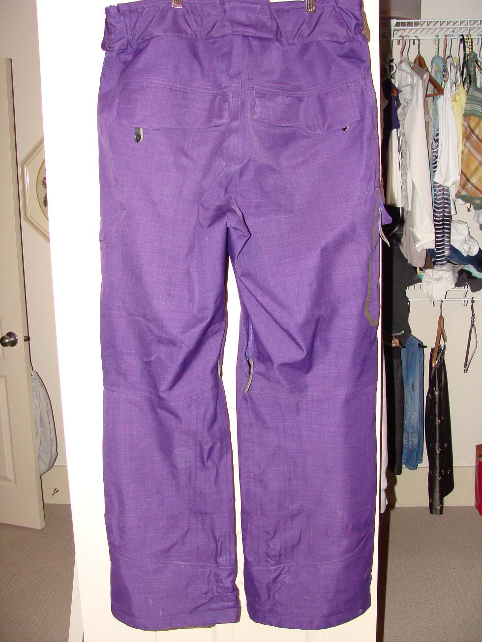 FS: Salomon Sideways Pant - Rear