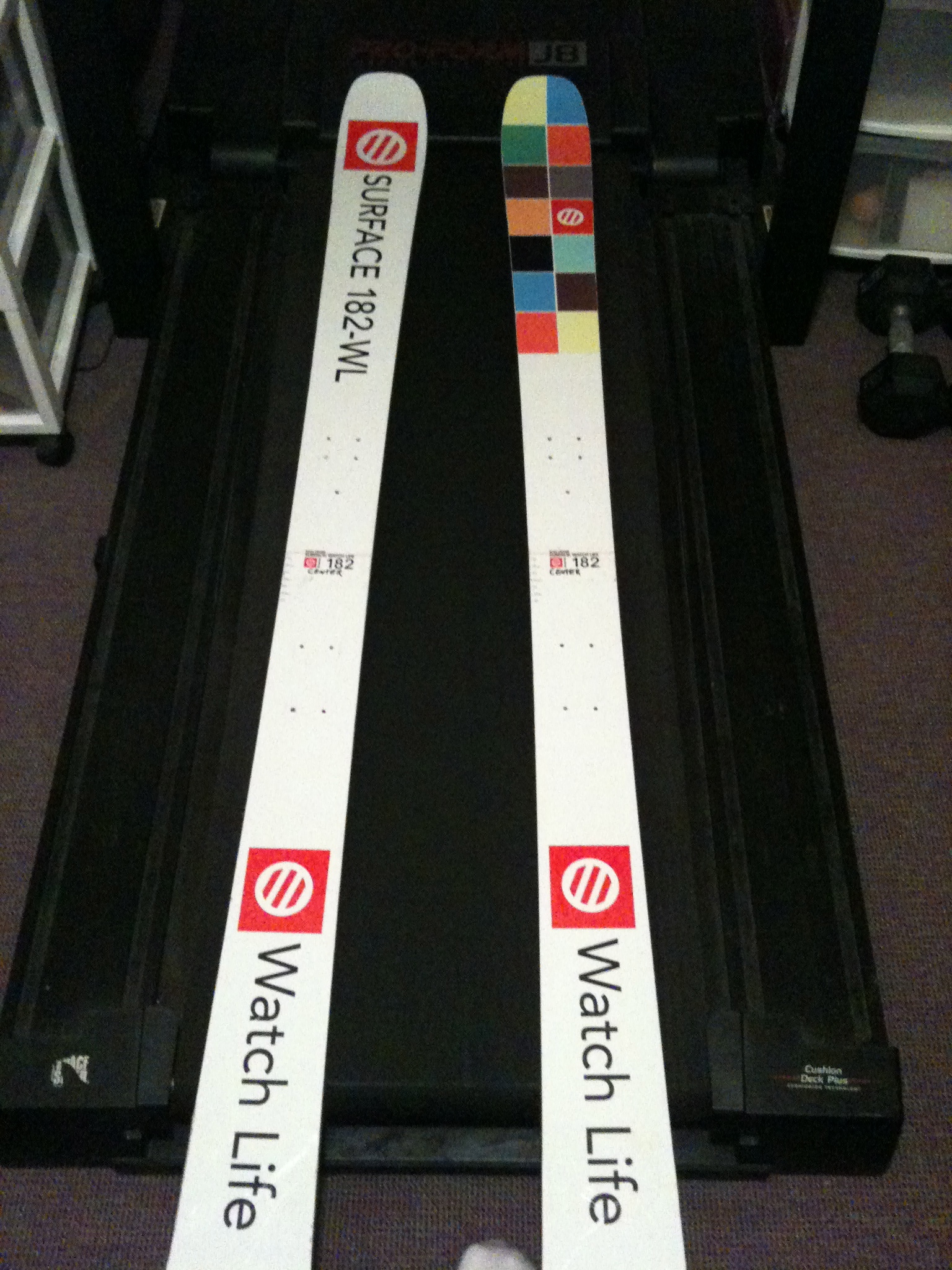 FS: Surface Watch Lifes