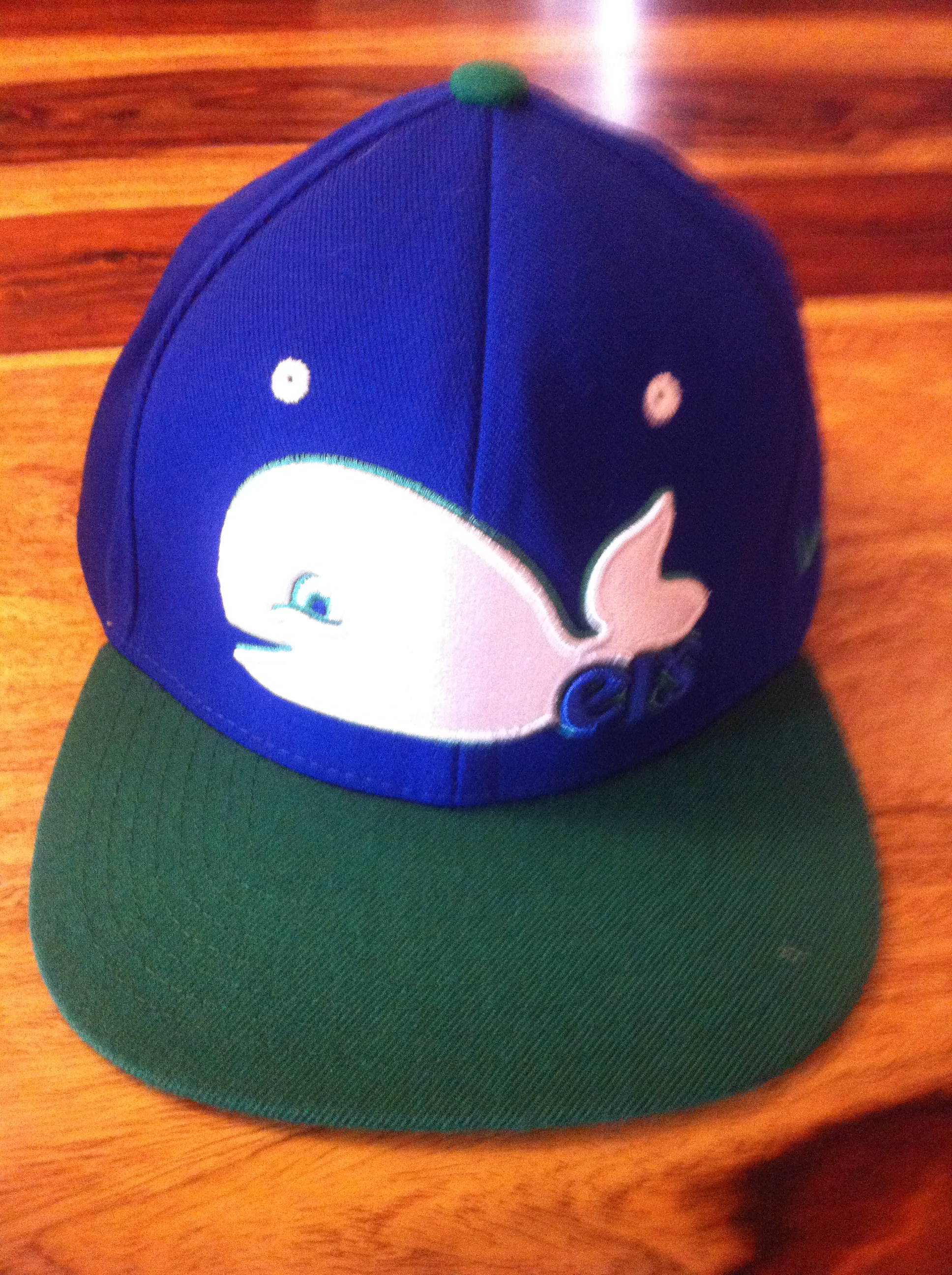 FS whalers snapback
