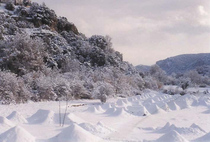 fuck yeh. dirt jumps for bikes covered in snow. combines the 2 greatest sports in the world. do u re
