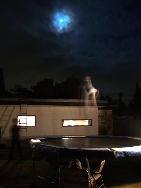 Full moon Tramp session