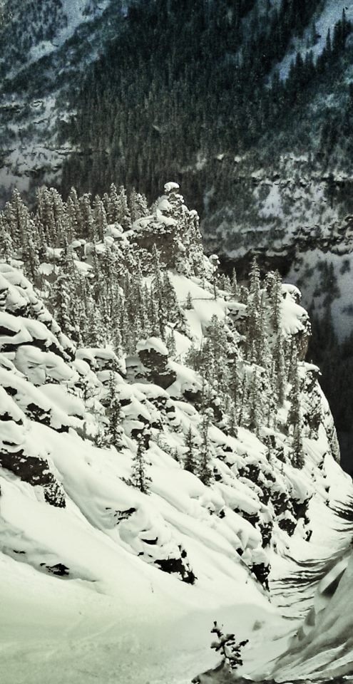 Fun fun fun in the sun!