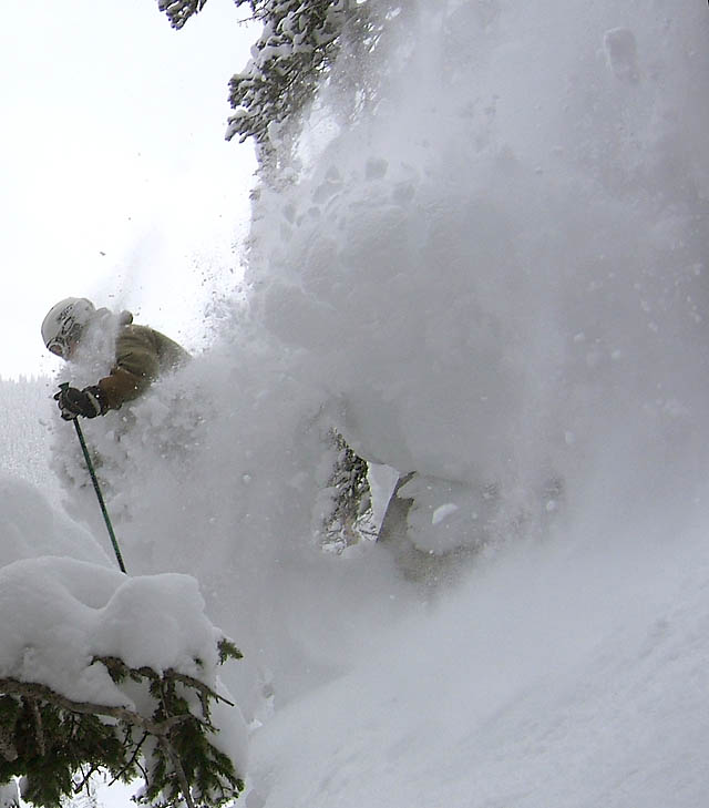 Fun in the mushroom patch