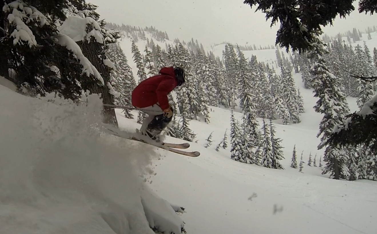 Fun tree drop