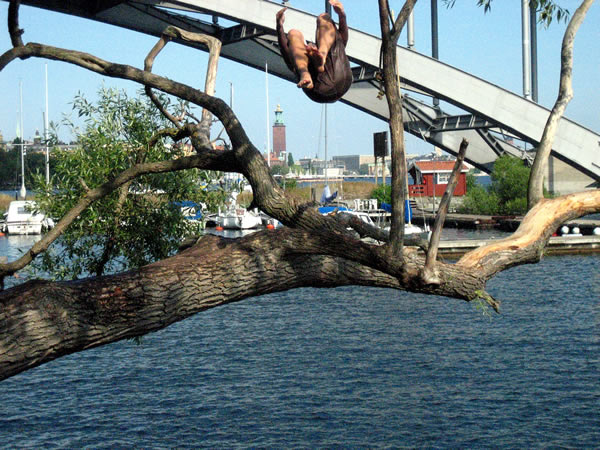 Gainer in Dowtown Stockholm