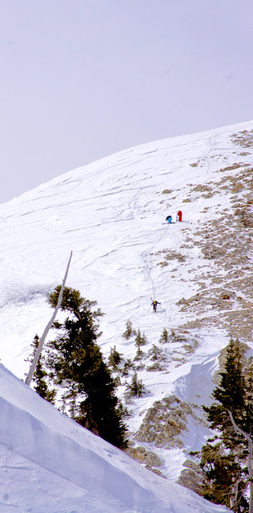 Gettin pumped for the Bird!