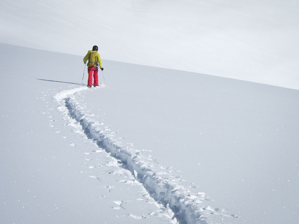 Getting to the goods