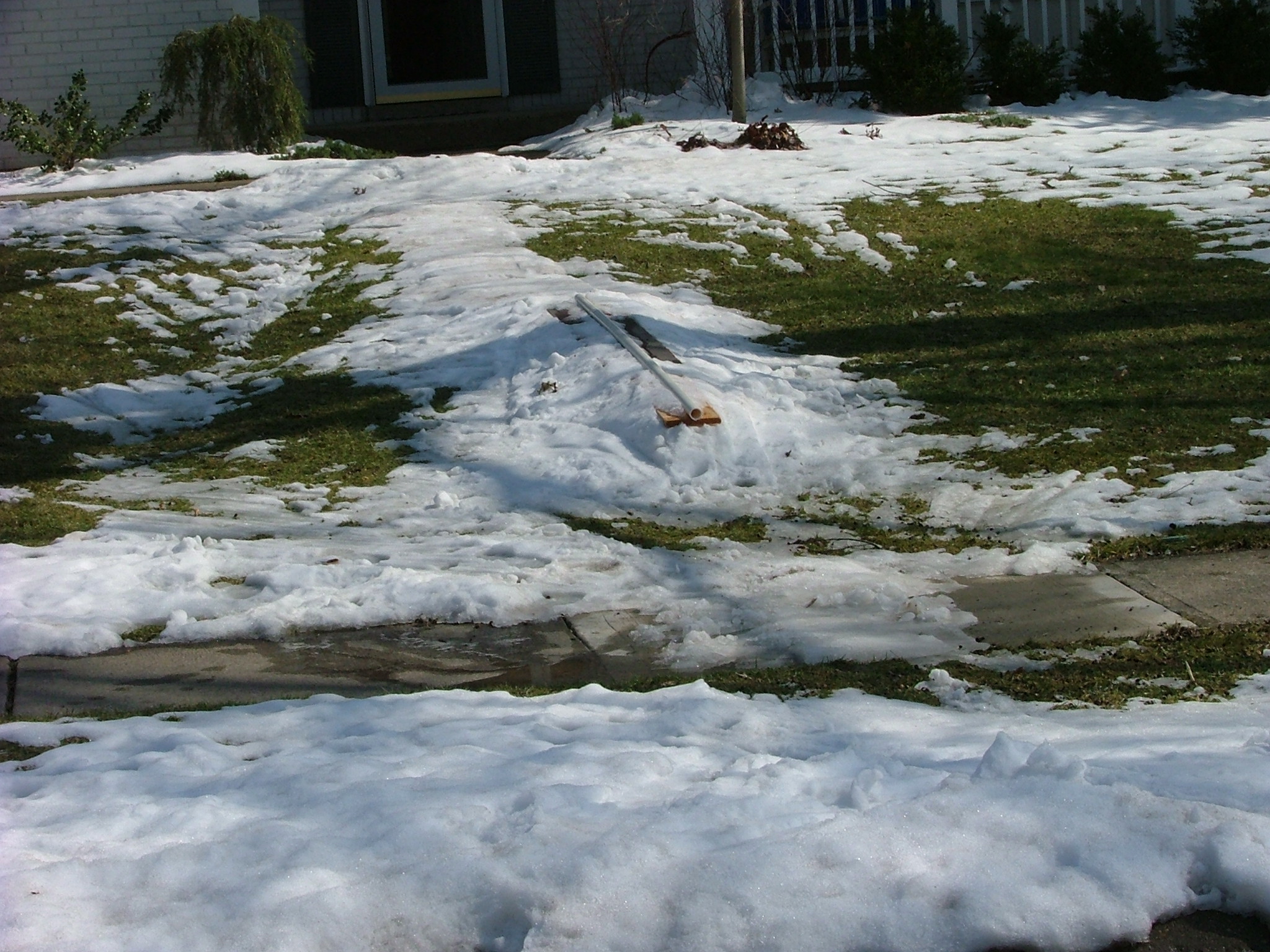 Ghetto front yard set up