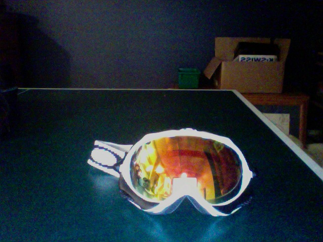 Glossy white wisdoms