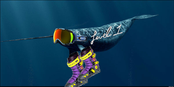Gnarwhal