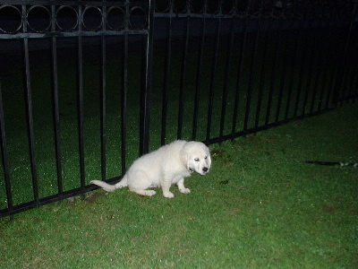 go take a shit in the sea...