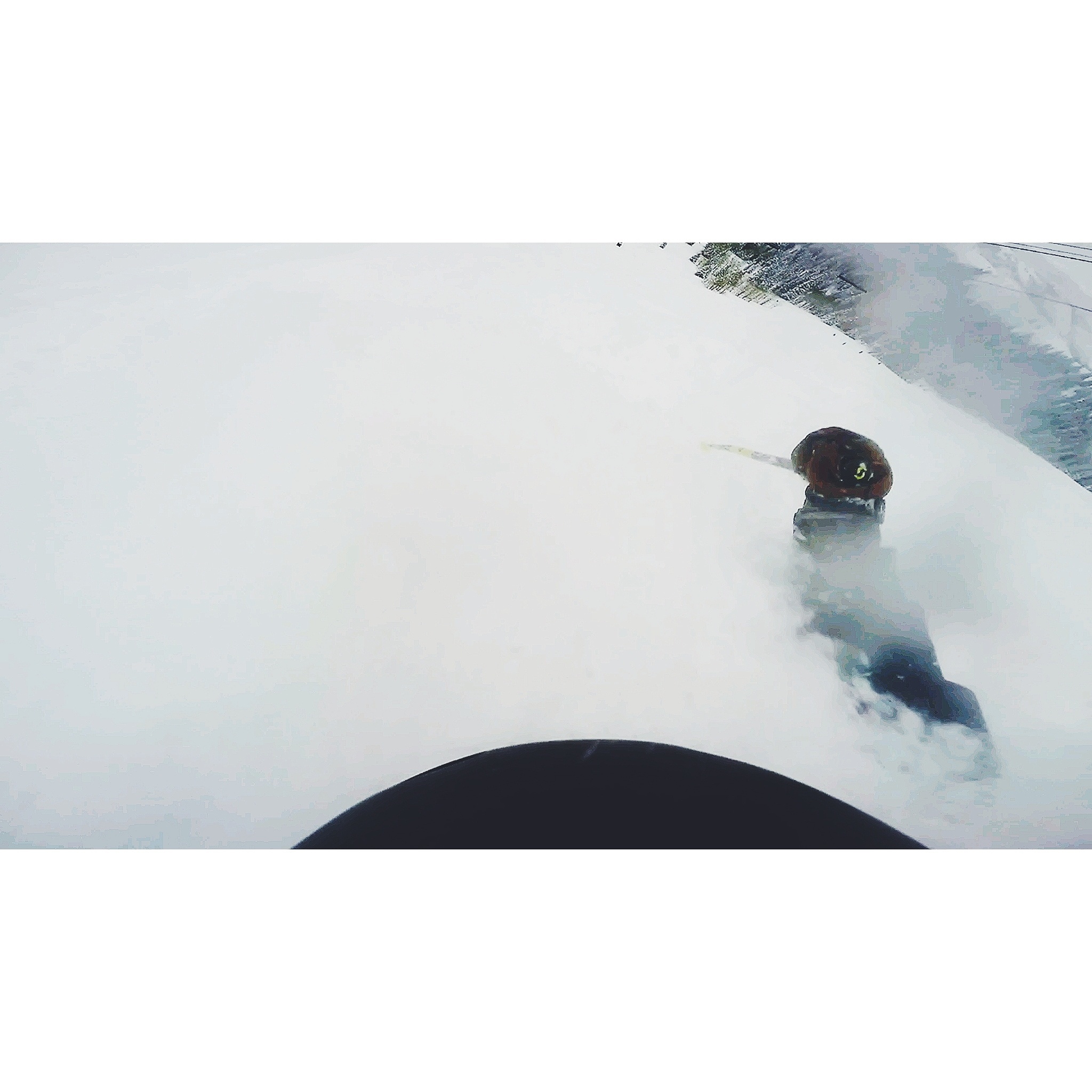 Going for a swim 