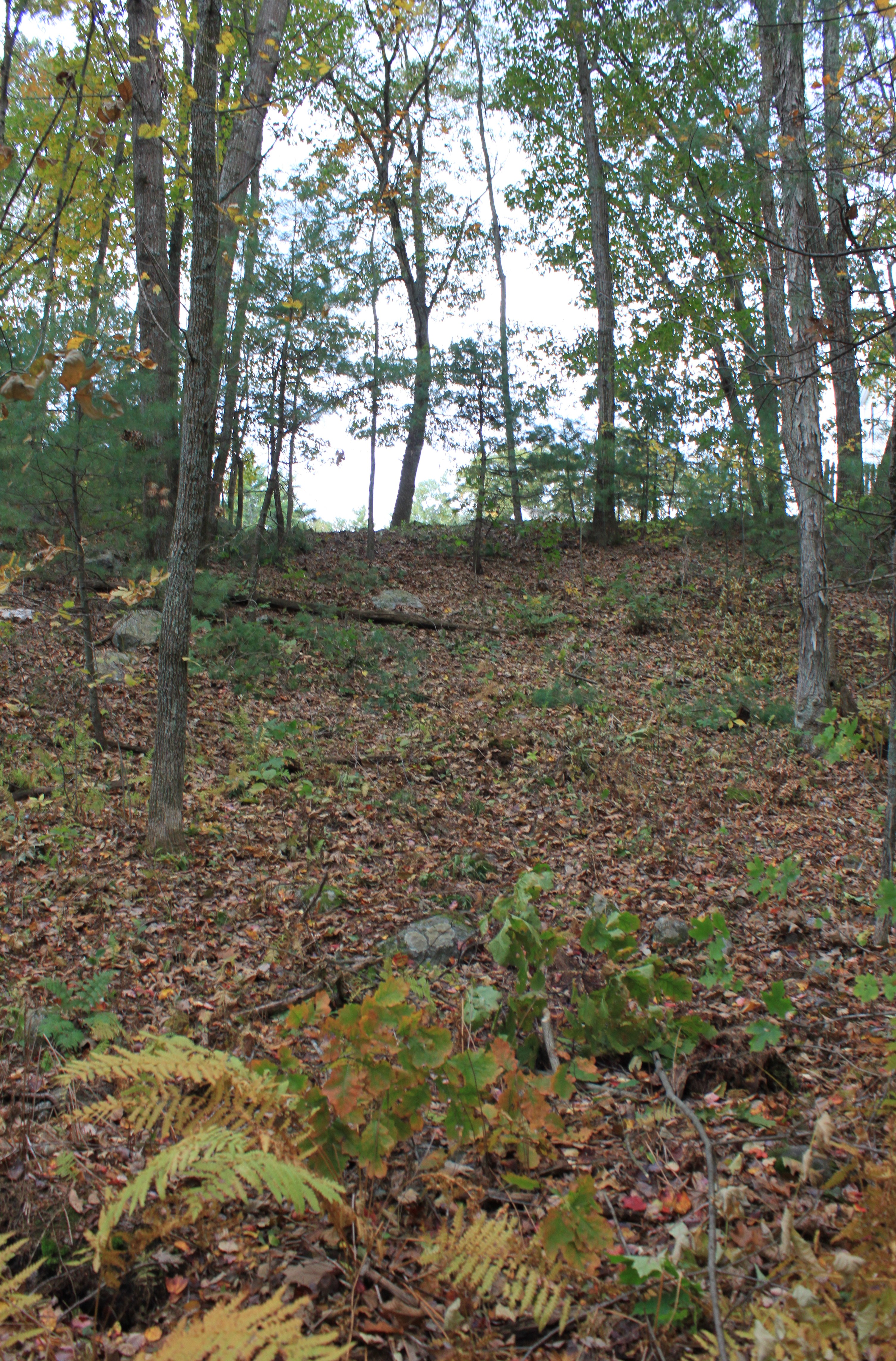 Good spot for a jump