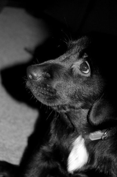 google maps is the best