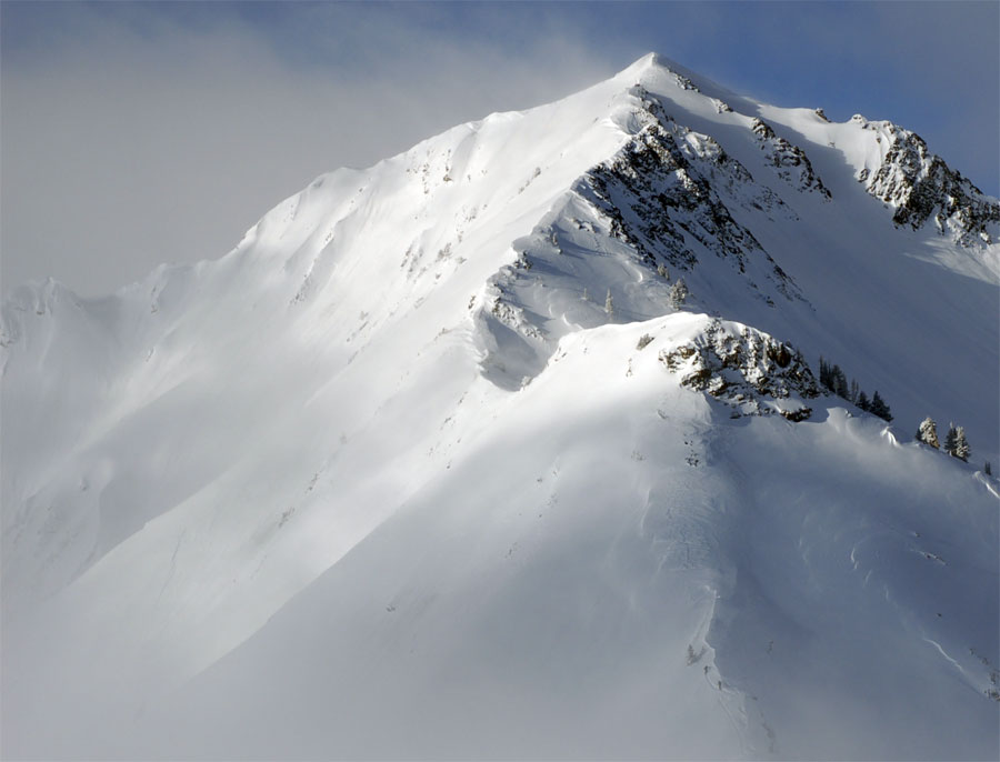 gorillas in the mist