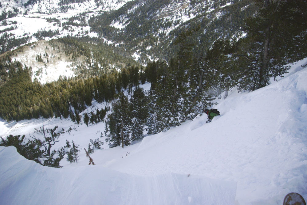 GOT THE LAWNMOWER OUT