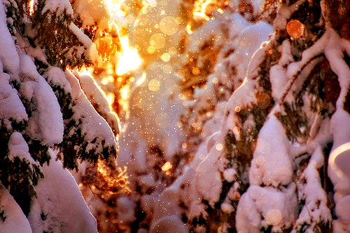 great day for a great ski