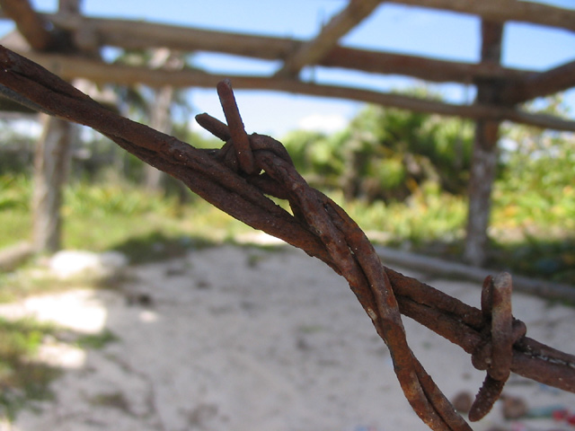 great DOF on rustic barbwire
