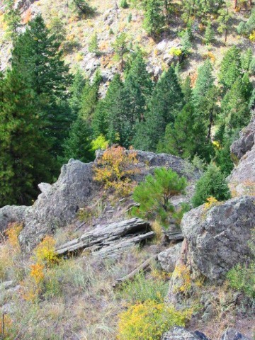 Great pic i took in CO