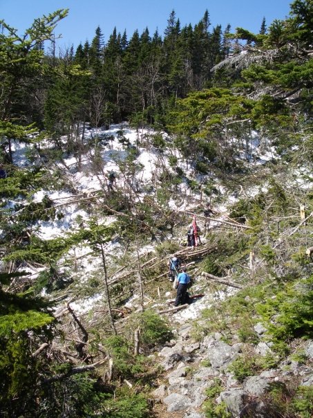 Gulf of Slides Mid-May Avy