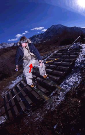 haha is that what i think it is?