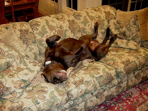 HAHAHAHAHAHAHAHAAHAHAHA