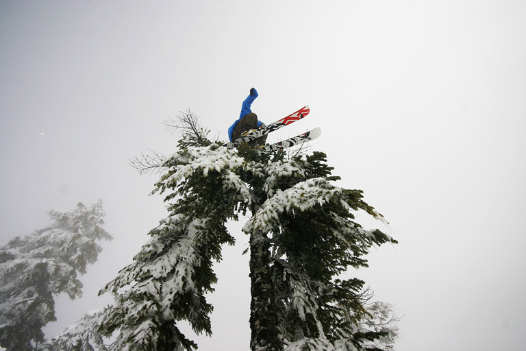 Handplant all up in a tree?