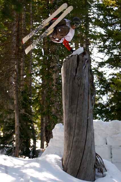Handplant Tree